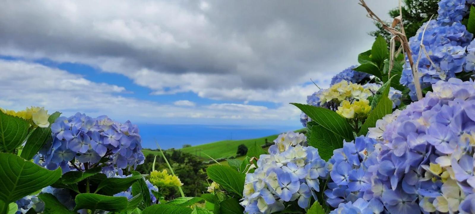 פובואסאו Quinta Da Espadana מראה חיצוני תמונה